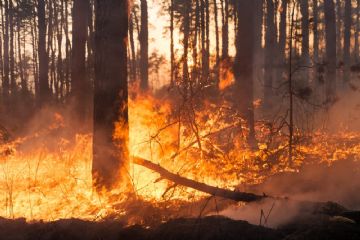 Rischio incendi: prorogato fino al 21 settembre 2025 il divieto di abbruciamento in Toscana.