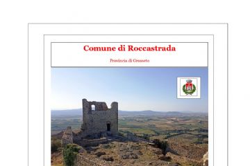 Vendita a corpo di legna da ardere e legname di conifere - Commune de  Roccastrada