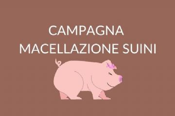 Visita sanitaria dei suini e degli ovicaprini macellati a domicilio per uso familiare - Campagna invernale 2025/26